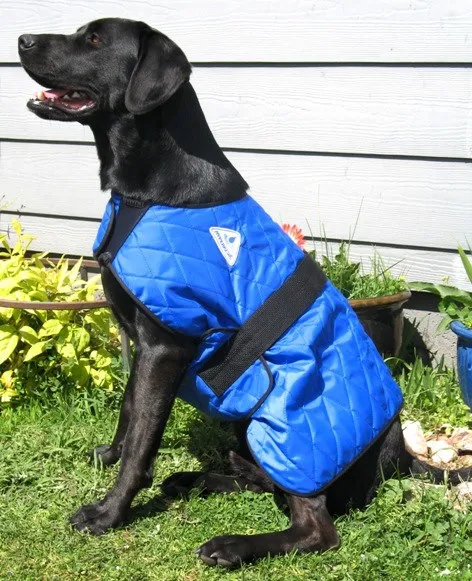 CLEARANCE HyperKewl Dog Cooling Coat
